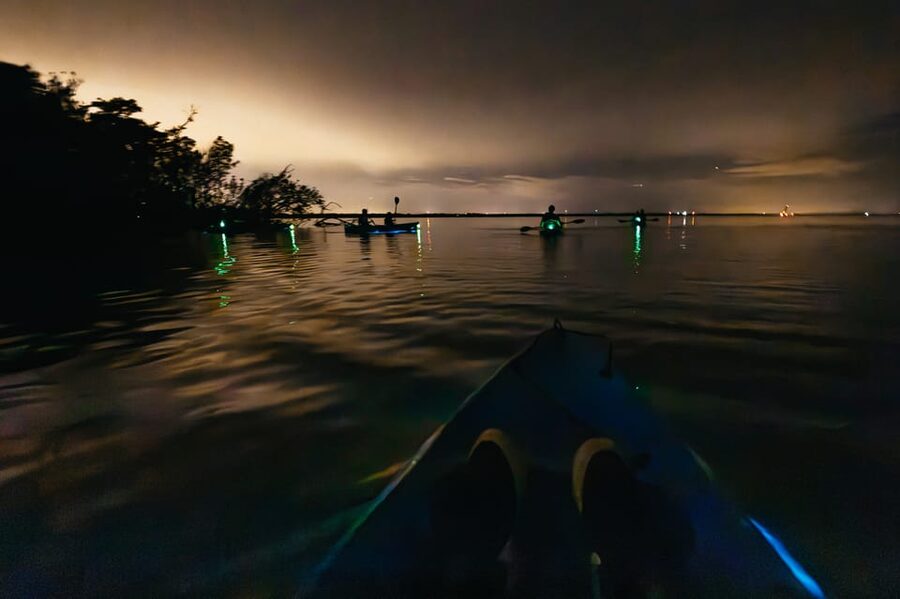 Orlando: Bioluminescence Kayak Tour - How bright will the bioluminescence be?