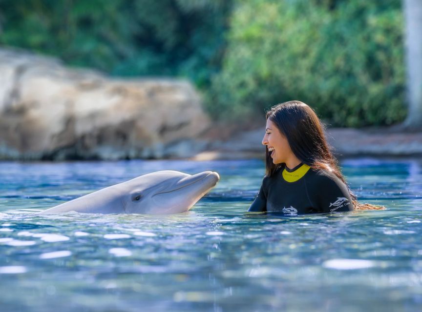 Orlando: Discovery Cove Admission Ticket & Additional Parks - Key Points to Know Before You Book