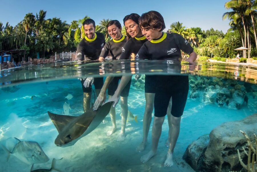 Orlando: Discovery Cove Admission Ticket & Additional Parks - Grand Reef: The Main Water Attraction