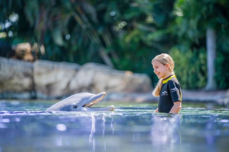 Orlando: Discovery Cove Admission Ticket & Additional Parks - Wind-away River and Explorer’s Aviary