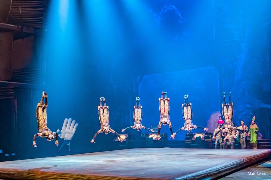 Orlando: "Drawn to Life" Cirque du Soleil Ticket - Who will enjoy Drawn to Life most