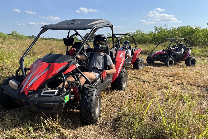 Orlando: Dune Buggy Tour - Quick take: what matters most