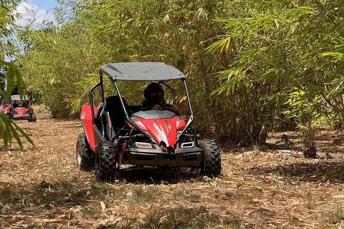 Orlando: Dune Buggy Tour - Leaving the theme parks behind