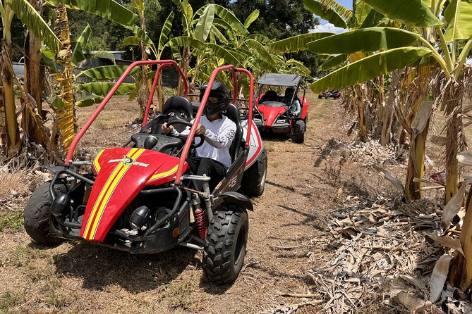Orlando: Dune Buggy Tour - Check-in at 1115 Minnesota Ave