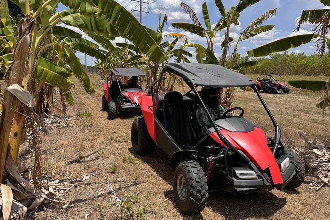 Orlando: Dune Buggy Tour - How the scenery fits the experience