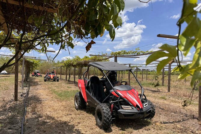 Orlando: Dune Buggy Tour - What the three hours really include