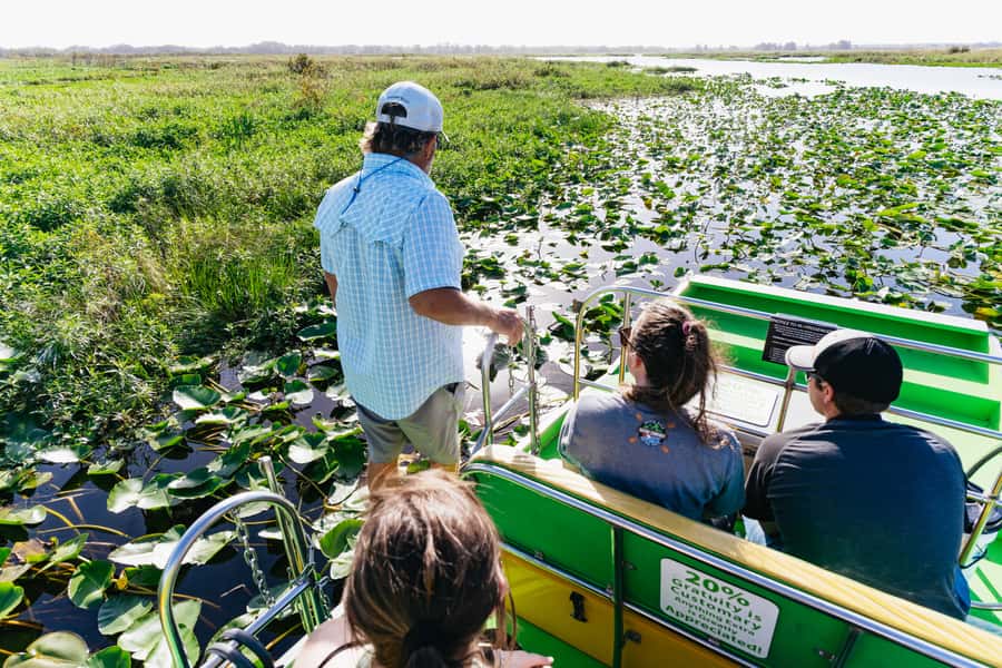 Orlando: Florida Everglades Wildlife Airboat Tour - Key points to know before you book