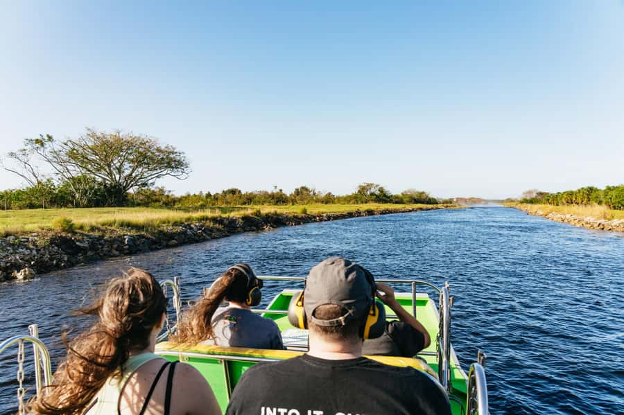 Orlando: Florida Everglades Wildlife Airboat Tour - Watching for alligators in their natural setting