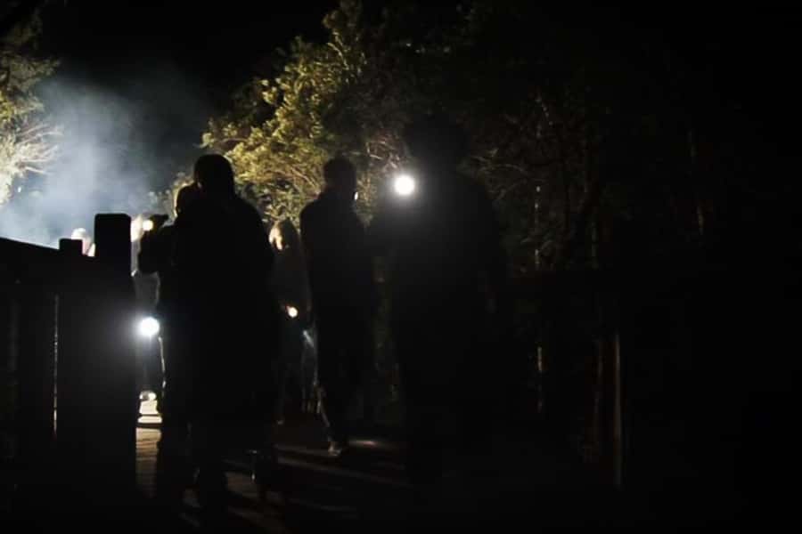 Orlando: Gatorland Flashlight Tour at Night - Key points to know before you go