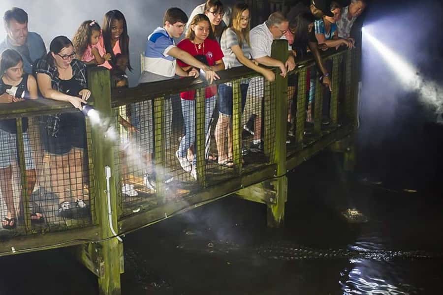 Orlando: Gatorland Flashlight Tour at Night - Why Gatorland feels different after sunset