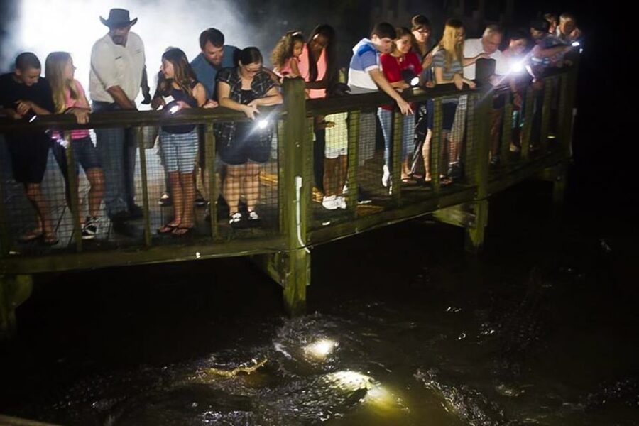 Orlando: Gatorland Flashlight Tour at Night - Family appeal, comfort, and access