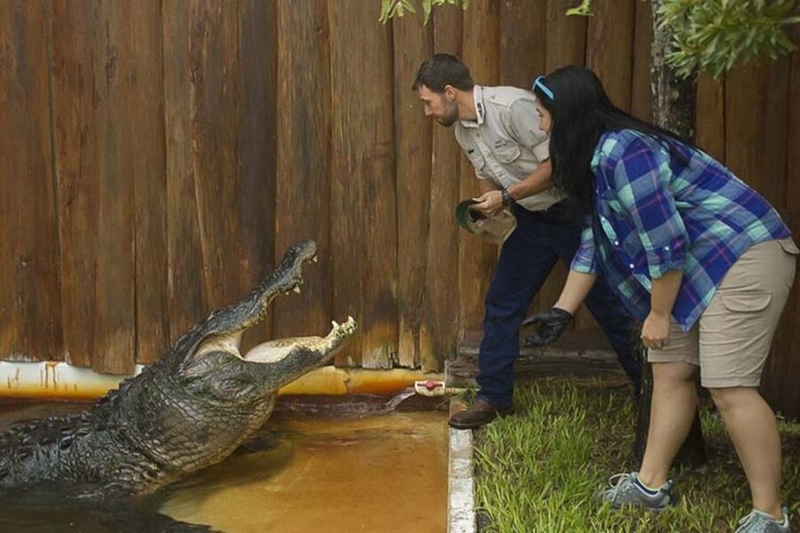 Orlando: Gatorland Interactive Tour with Animal Trainer - Key points to know before you book