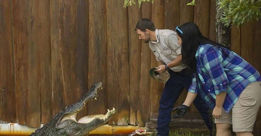 Orlando: Gatorland Interactive Tour with Animal Trainer - What makes this Gatorland tour different