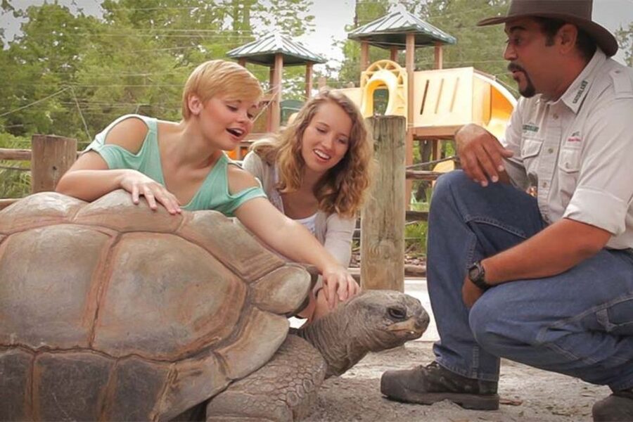 Orlando: Gatorland Interactive Tour with Animal Trainer - Holding a baby alligator