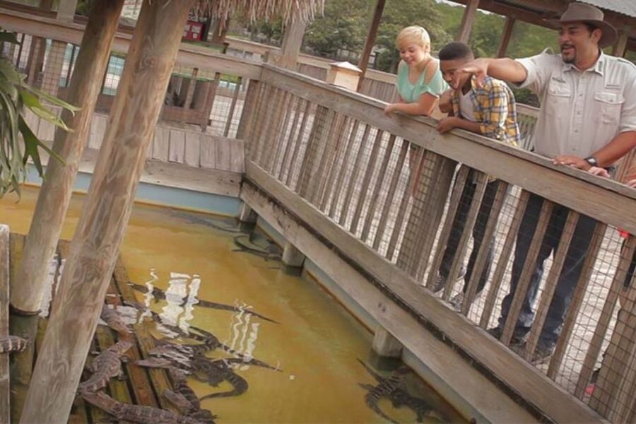 Orlando: Gatorland Interactive Tour with Animal Trainer - Starting at the giant alligator mouth