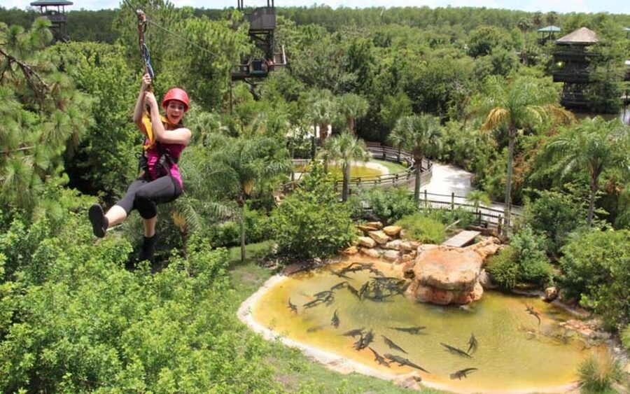 Orlando: Gatorland Zipline Adventure w/ Full-Day Park Access - Key points to know before you book