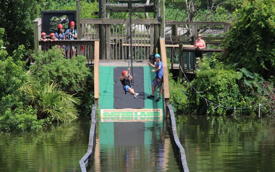 Orlando: Gatorland Zipline Adventure w/ Full-Day Park Access - Five zip lines above Gatorland’s animal exhibits