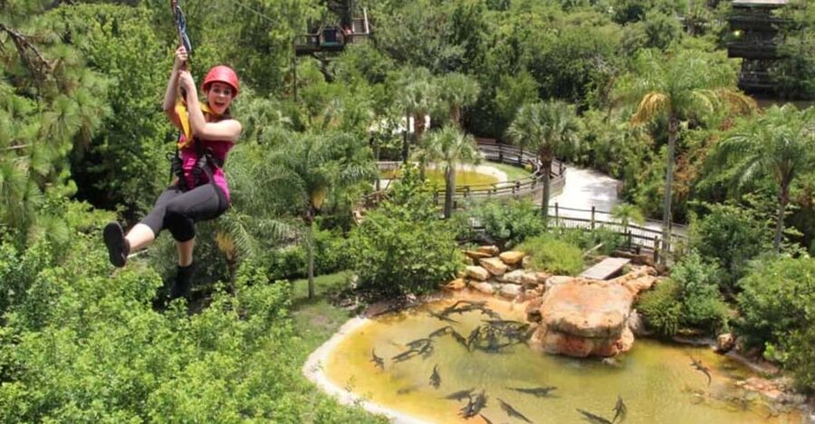 Orlando: Gatorland Zipline Adventure w/ Full-Day Park Access - Looking down at crocodiles and the breeding marsh