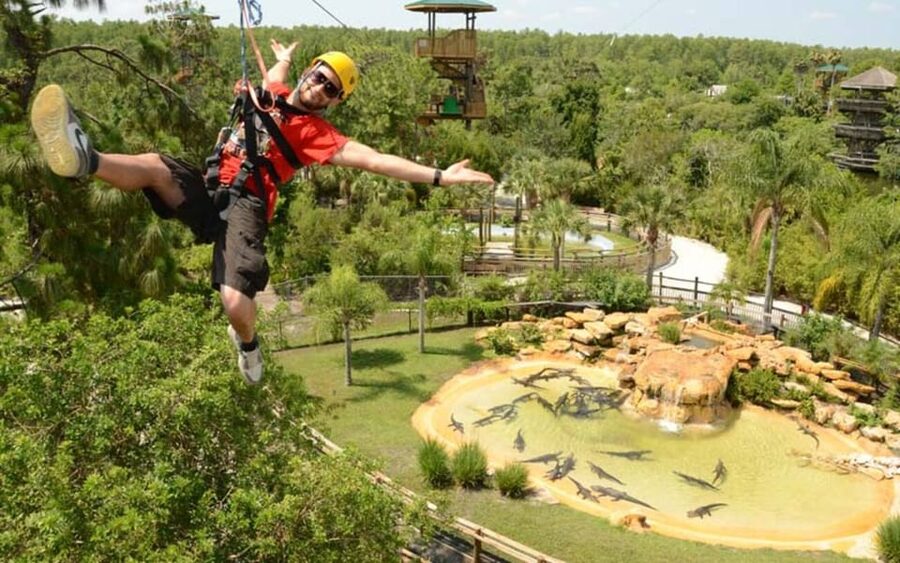 Orlando: Gatorland Zipline Adventure w/ Full-Day Park Access - The launch pads reach seven stories above the ground