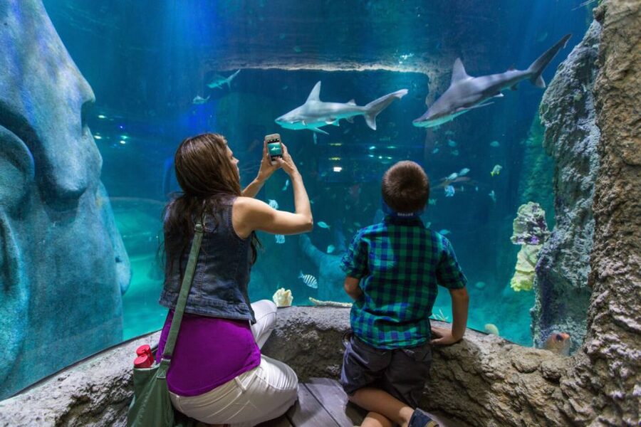Orlando: Go City Explorer Pass - Choose 2 to 5 Attractions - Building a sensible 30-day plan