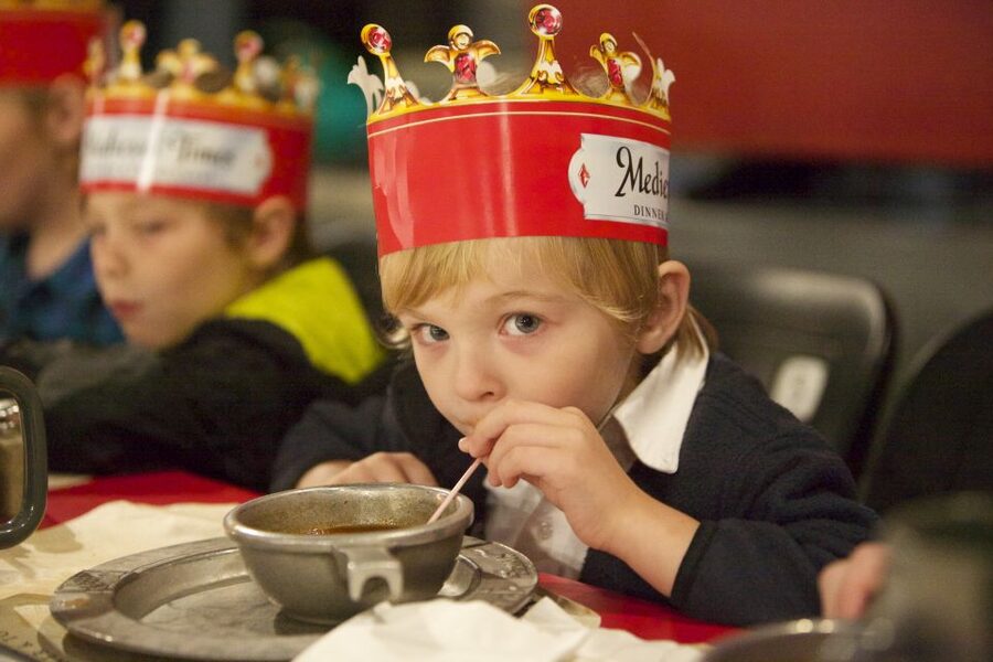 Orlando: Medieval Times Dinner and Show Ticket - Six regions, six knights, one side to support