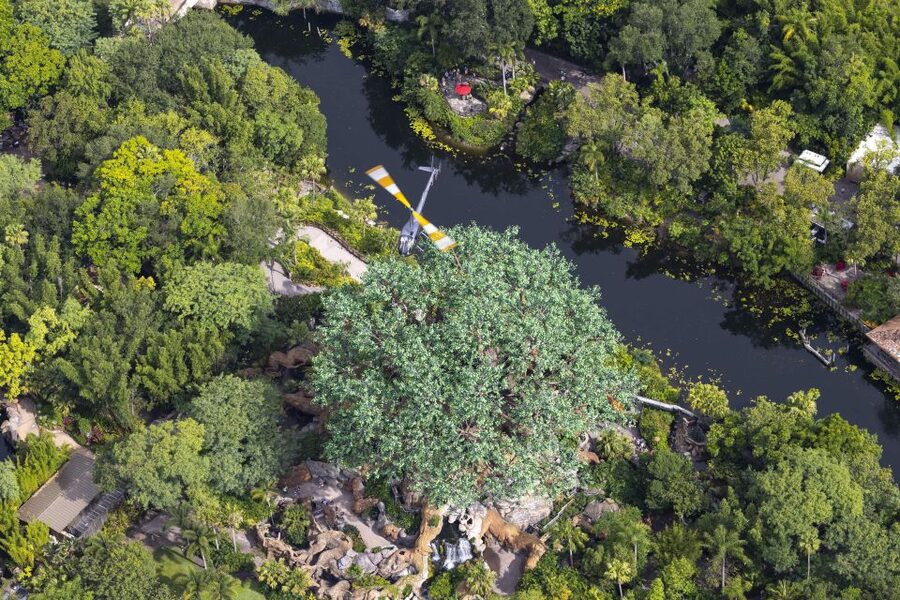 Orlando: Narrated Day Helicopter Flight Over Theme Parks - Seeing the Disney complex and Epcot Globe