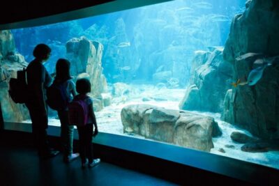 SEA LIFE Orlando Aquarium