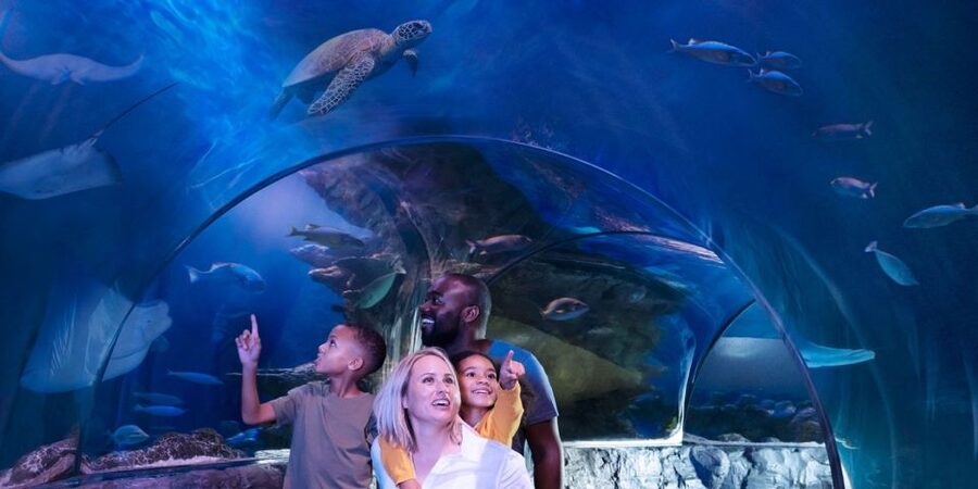 Orlando: SEA LIFE Orlando Aquarium - What the aquarists add to the experience