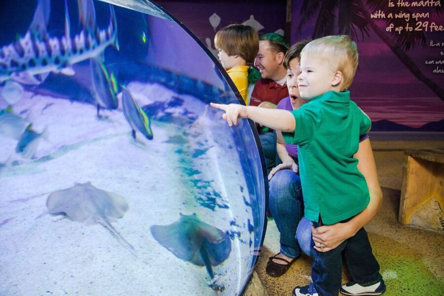 Orlando: SEA LIFE Orlando Aquarium - The virtual reality shark experience has a catch