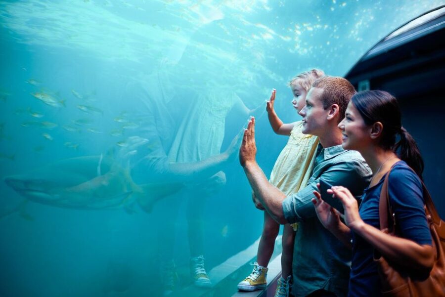 Orlando: SEA LIFE Orlando Aquarium - How long should you plan for?