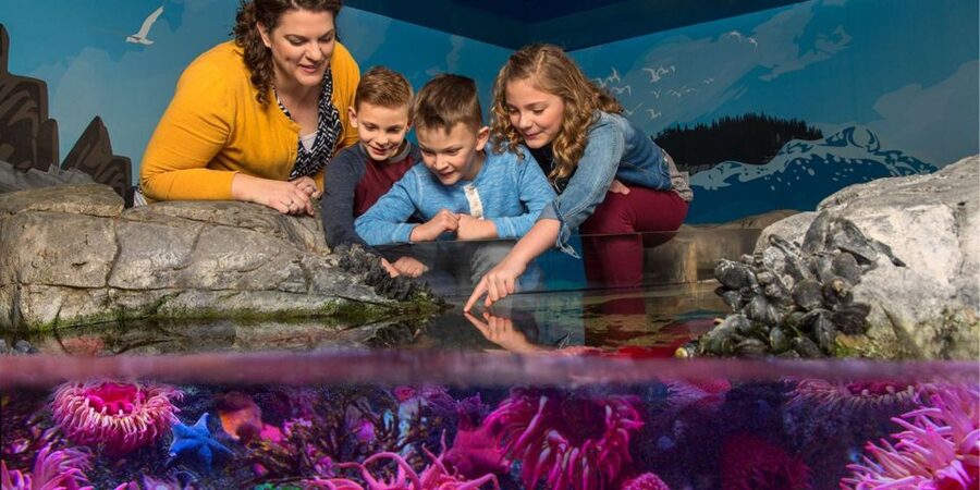 Orlando: SEA LIFE Orlando Aquarium - Is $30 good value?
