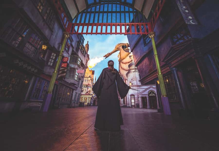 Orlando:Universal Studios 2-Park 1-Day VIP Experience Ticket - Who should book this experience