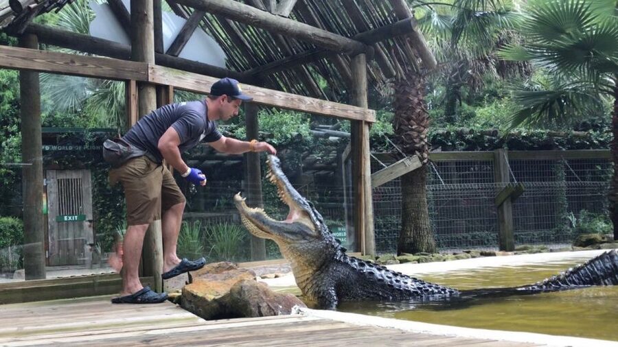 Orlando: Wild Florida Park Ticket and Gator Shows - Key points to know before you go