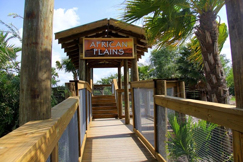 Orlando: Wild Florida Park Ticket and Gator Shows - Why Wild Florida works as a short Orlando break