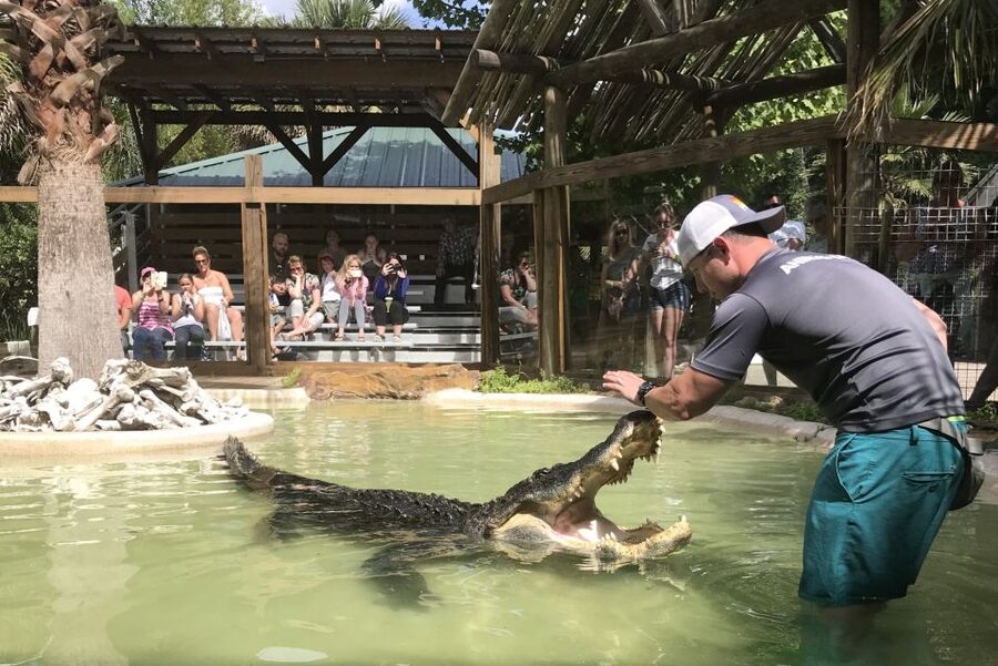 Orlando: Wild Florida Park Ticket and Gator Shows - Walking the 500-foot dock and Hawk Swamp boardwalk