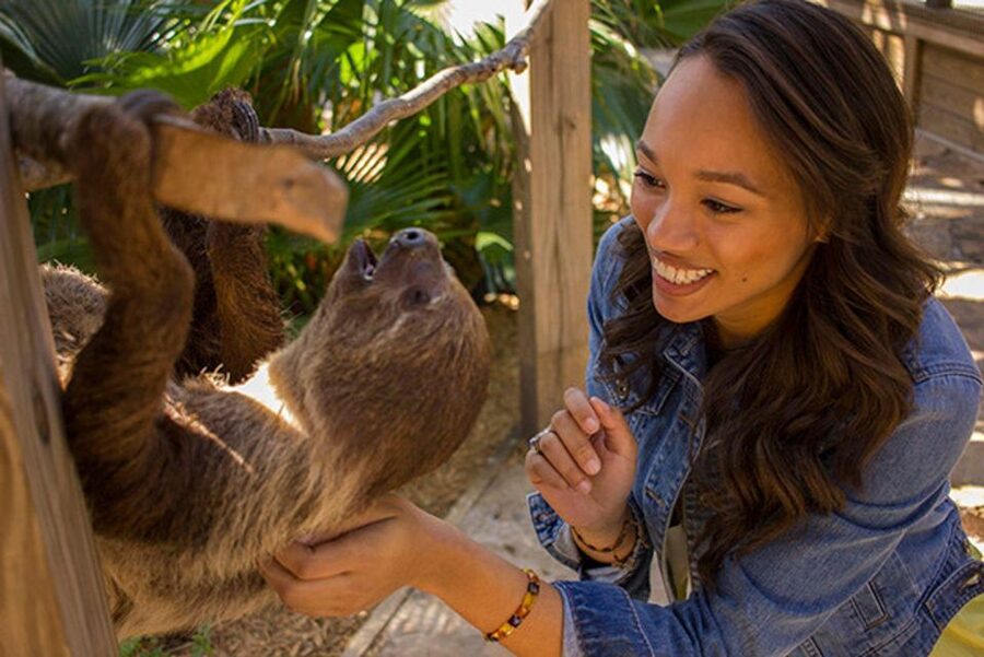 Orlando: Wild Florida Park Ticket and Gator Shows - What the $15 ticket really includes
