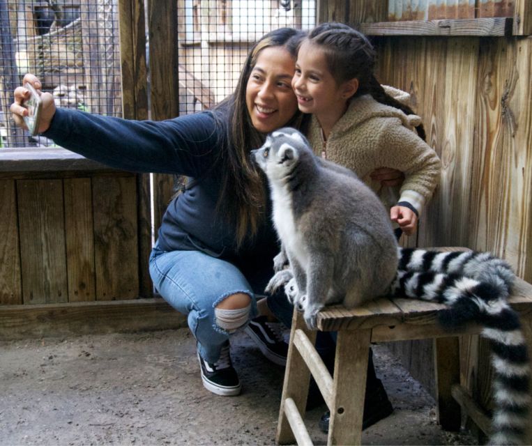 Orlando: Wild Florida Park Ticket and Gator Shows - Who should visit Wild Florida Wildlife Park