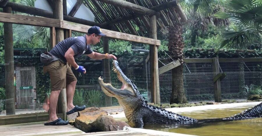 Orlando: Wild Florida Park Ticket and Gator Shows - Meeting Florida’s animals at the wildlife park