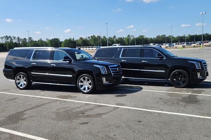 Port Canaveral Cruise Transfer to and from Orlando Intl Airport - Airport pickup at MCO, with your arrival watched