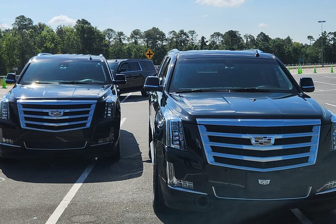 Port Canaveral Cruise Transfer to and from Orlando Intl Airport - Returning from the cruise ship to Orlando International Airport