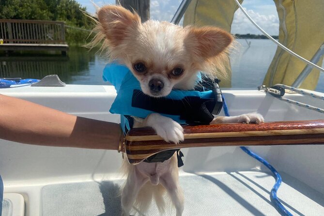 Private 2-Hour Day Sailing Experience - Your two hours on Lake Fairview