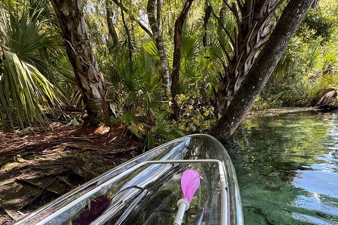 Private Crystal Clear 2 HR Kayak/Paddle Rental on Rainbow River - Key points to know before you book