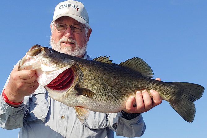 Private Lake Tohopekaliga Fishing Charter near Orlando - Starting at Big Toho Marina