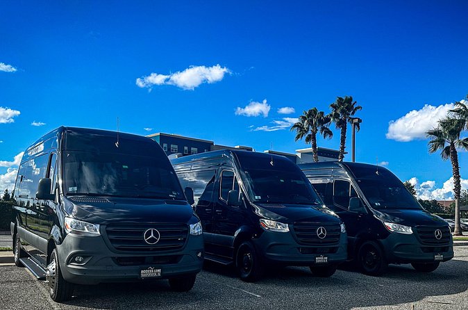 Private service, Airport, Hotels to Port Canaveral terminals. - Who should book this transfer