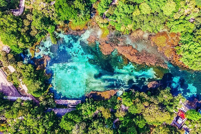 Rainbow Springs: Clear Kayak & Snorkel Eco Tour - Why a clear kayak makes Rainbow River special