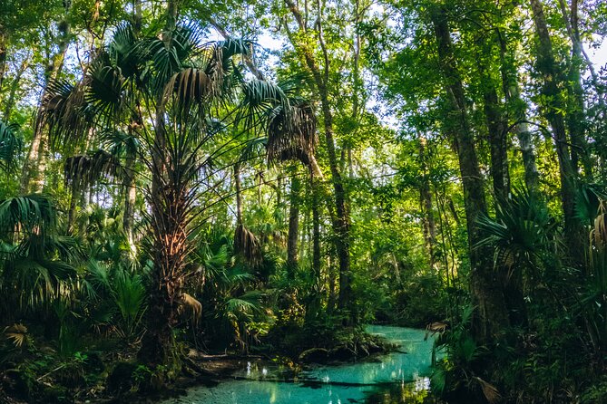 Rainbow Springs: Clear Kayak & Snorkel Eco Tour - Continuing toward the Rainbow Springs headsprings