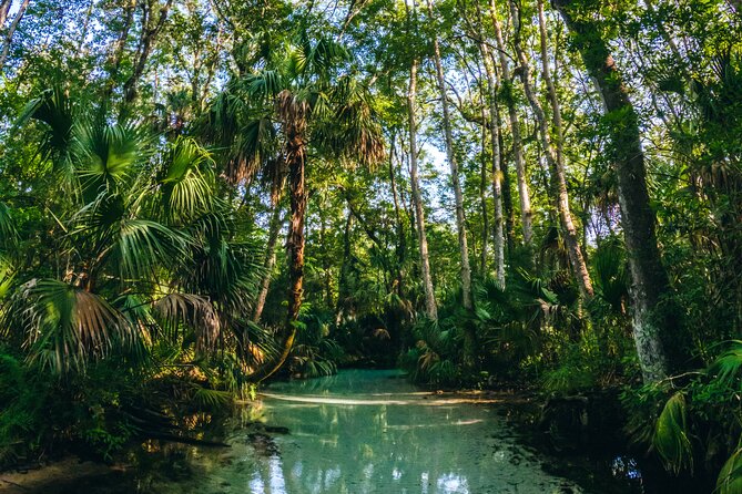 Rainbow Springs: Clear Kayak & Snorkel Eco Tour - Tandem kayak rules and physical demands