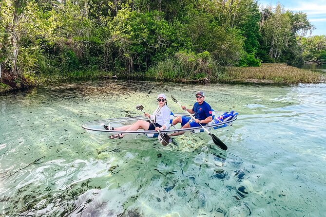 Rainbow Springs: Clear Kayak & Snorkel Eco Tour - Is the $10 park fee worth including in your budget?