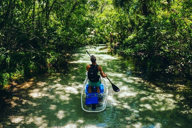 Rainbow Springs: Clear Kayak & Snorkel Eco Tour - Who will enjoy this Rainbow Springs tour?
