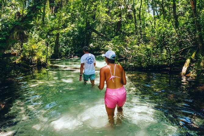 Rainbow Springs: Clear Kayak & Snorkel Eco Tour - Starting at KP Hole Park in Dunnellon